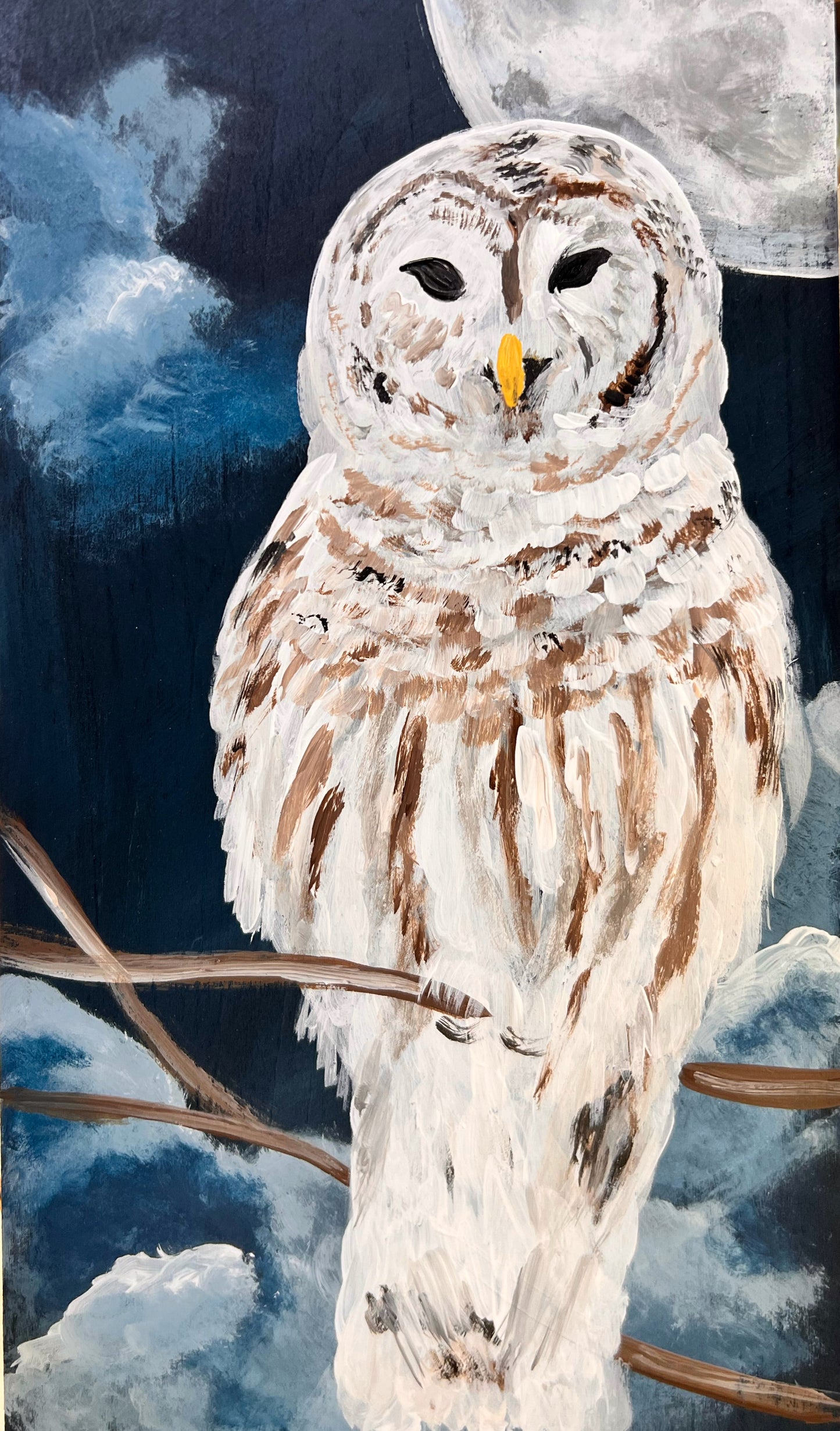 tem # 67 Snowy Owl